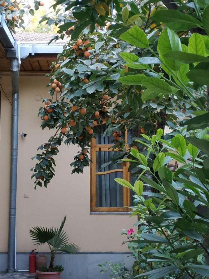 Sim Sim Hostel & Guest House Near The Church Samarcanda Exterior foto